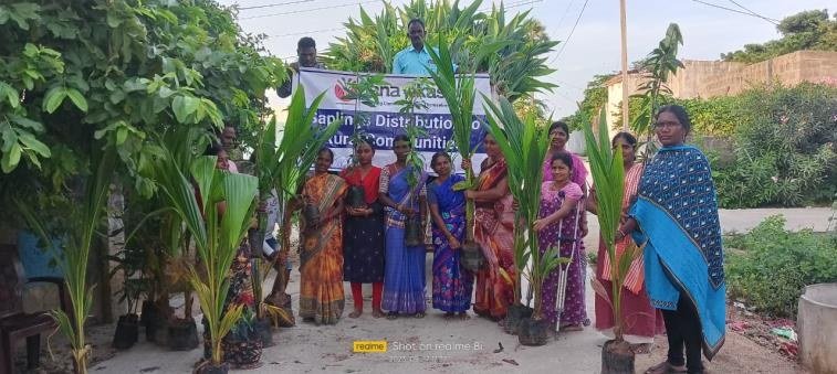 Livelihoods and kitchen gardens